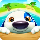 我的汉克狗海岛2026版