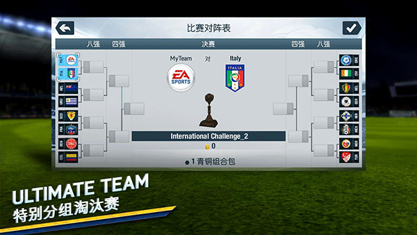 FIFA14正版