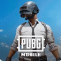 pubg绝地求生国际服下载安卓版