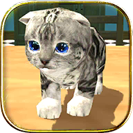 猫咪模拟器(Cat Sim)