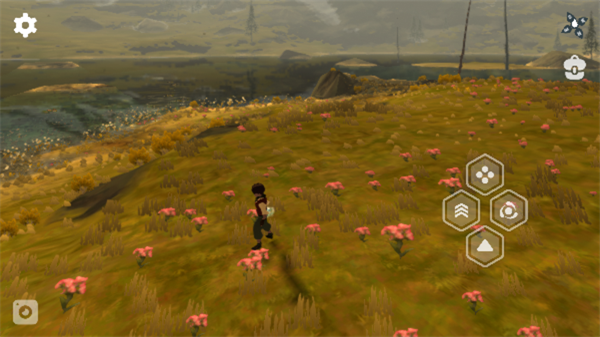 Wilderless