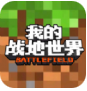 我的战地世界