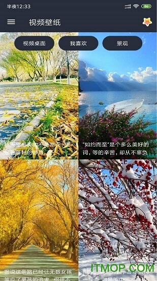 安果视频壁纸