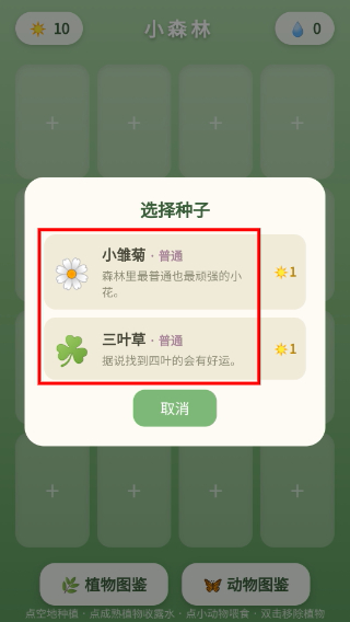 小森林