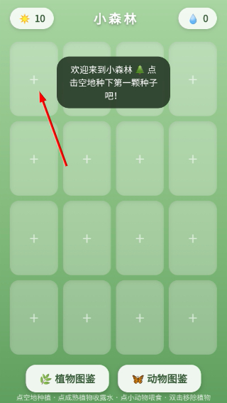 小森林