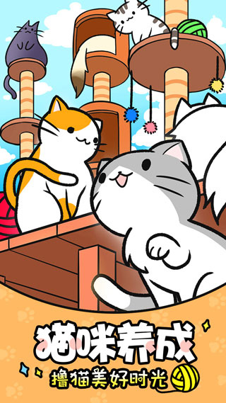 猫咪公寓