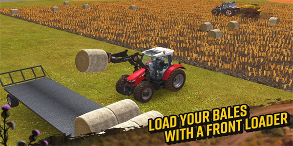 FS 18